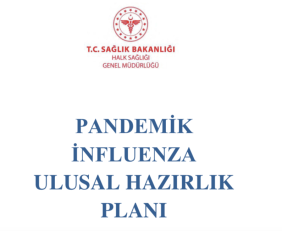 Screen Shot 2020-03-27 at 19.23.50